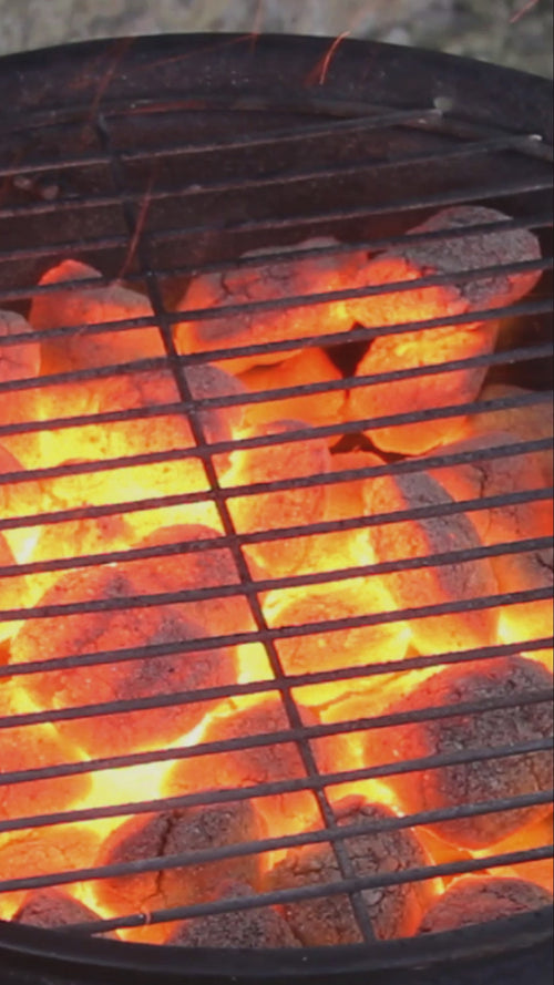 Image video